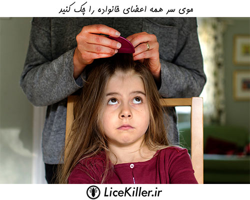 درمان شپش سر در کودکان