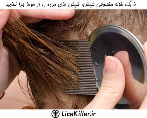 جدا کردن شپش‌ های مرده از مو با شانه ضد شپش‌ پس از اعمال روغن نارگیل